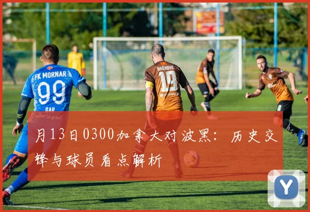 月13日0300加拿大对波黑：历史交锋与球员看点解析