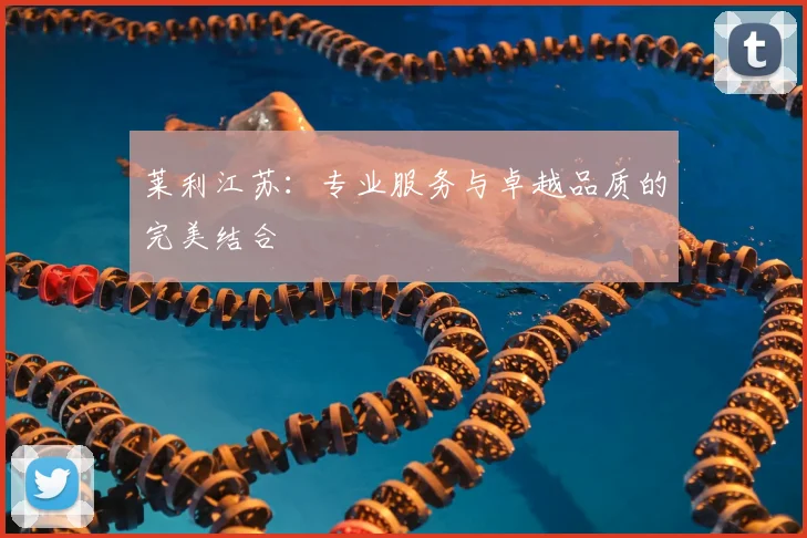莱利江苏：专业服务与卓越品质的完美结合
