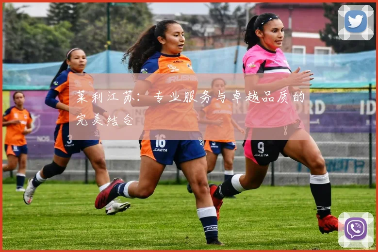 莱利江苏：专业服务与卓越品质的完美结合